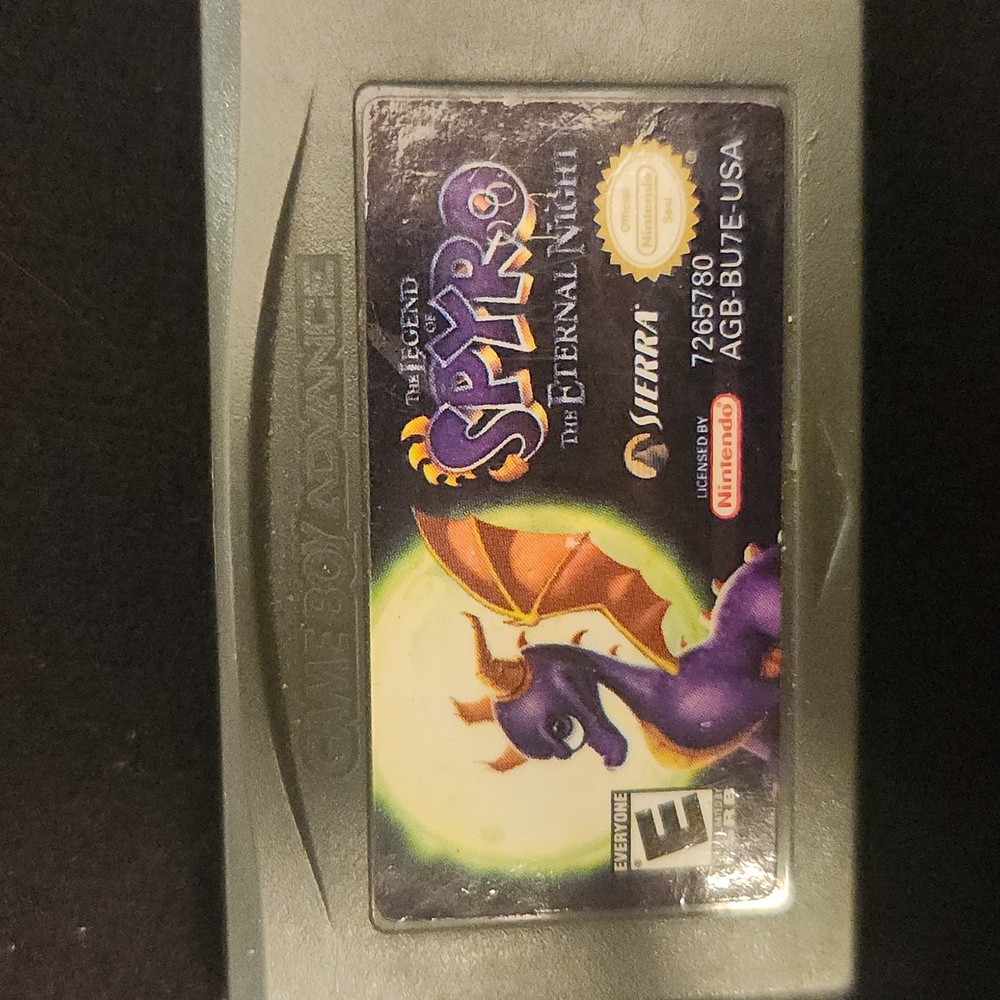 Spyro the eternal night